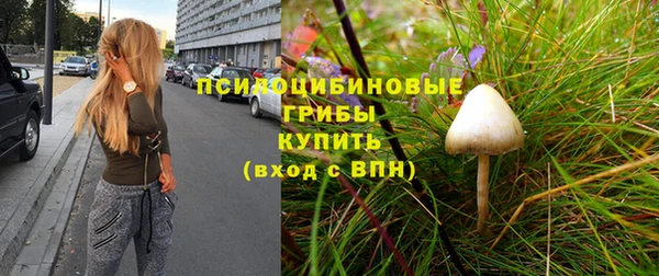 ECSTASY Белокуриха