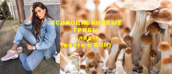 прущий лед Белоозёрский