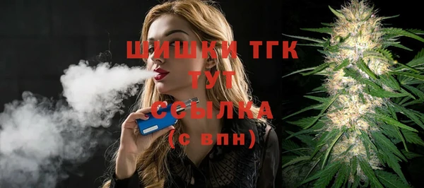 ECSTASY Белокуриха